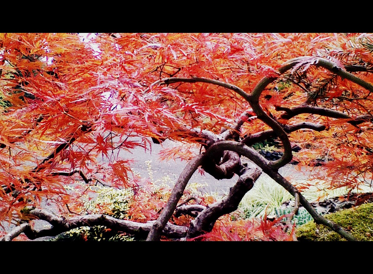 Nigdy nie wracaj do tego co nie działało